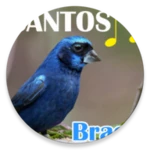 Logo of Canto dos Pássaros Brasil android Application 