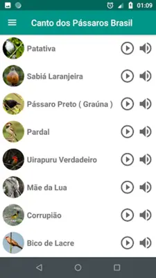 Canto dos Pássaros Brasil android App screenshot 2