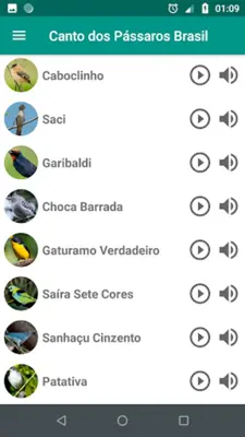 Canto dos Pássaros Brasil android App screenshot 3