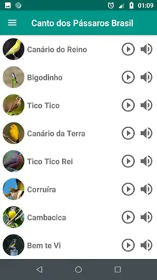 Canto dos Pássaros Brasil android App screenshot 4