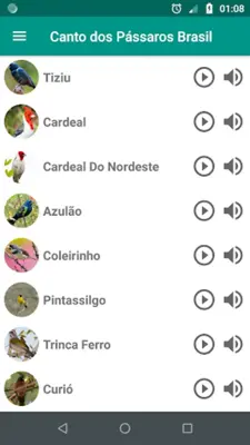 Canto dos Pássaros Brasil android App screenshot 5